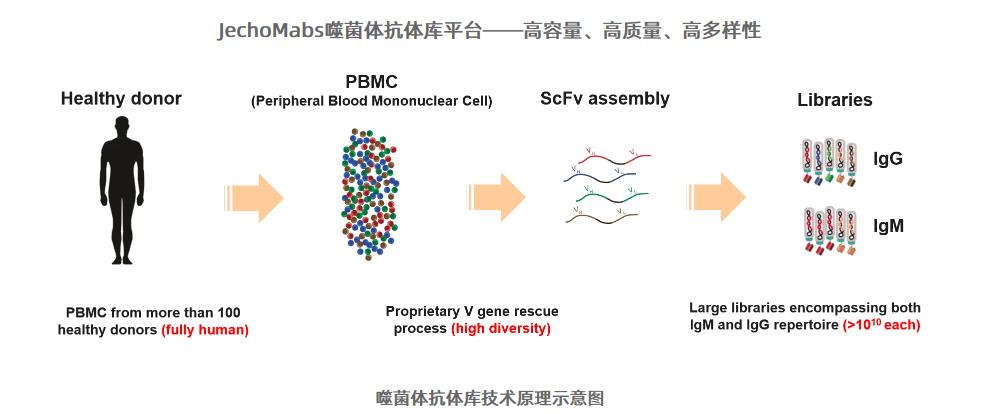 电子艺游平台大全官方网站入口说明